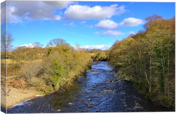 Majestic River Swale Flowing Through Easby Canvas Print by Steve Smith