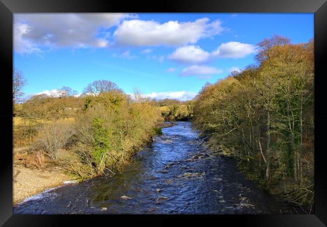 Majestic River Swale Flowing Through Easby Framed Print by Steve Smith