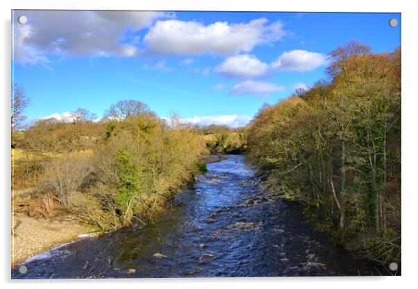 Majestic River Swale Flowing Through Easby Acrylic by Steve Smith