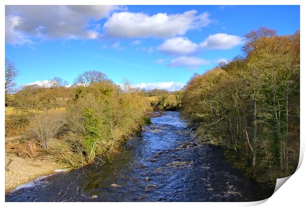 Majestic River Swale Flowing Through Easby Print by Steve Smith