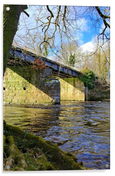 Old Railway Bridge Easby Acrylic by Steve Smith