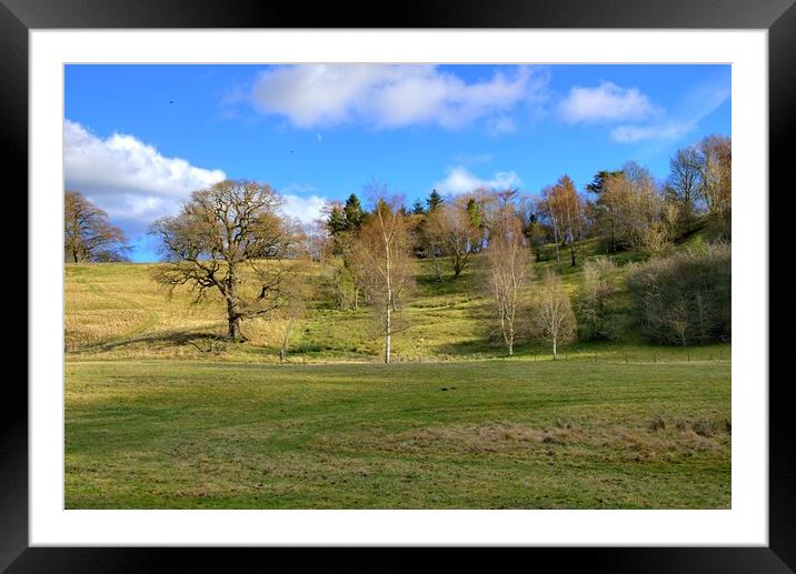 Easby Countryside Framed Mounted Print by Steve Smith