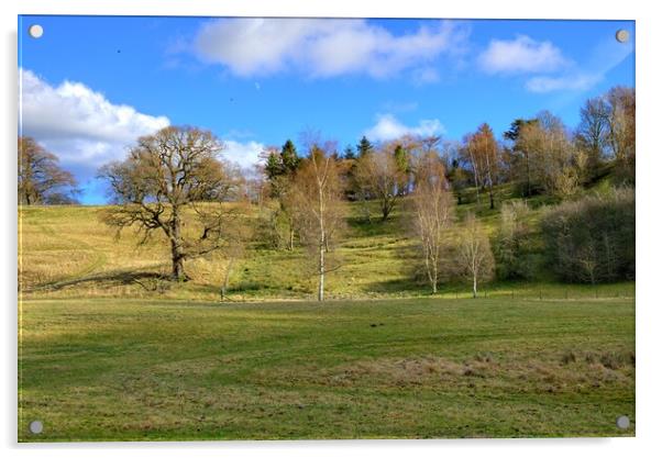 Easby Countryside Acrylic by Steve Smith