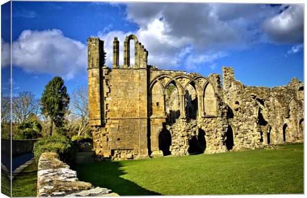 Serene ruins of Easby Abbey Canvas Print by Steve Smith