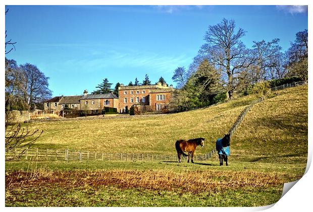 Easby Countryside Print by Steve Smith