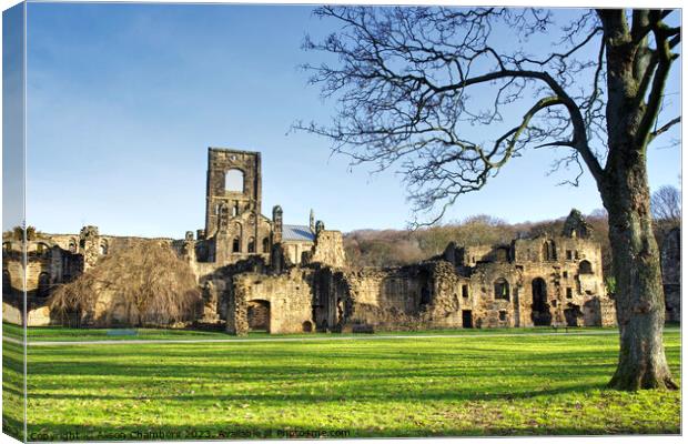 Kirkstall Abbey  Canvas Print by Alison Chambers