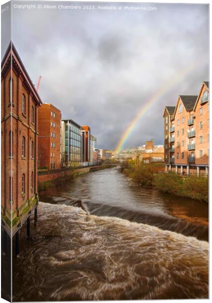 Sheffield  Canvas Print by Alison Chambers