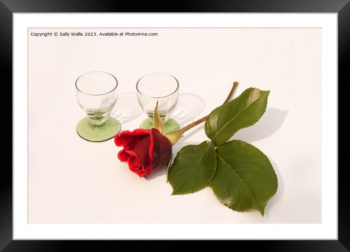 Glasses and a rose bud Framed Mounted Print by Sally Wallis