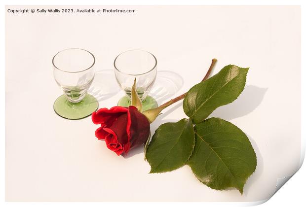 Glasses and a rose bud Print by Sally Wallis