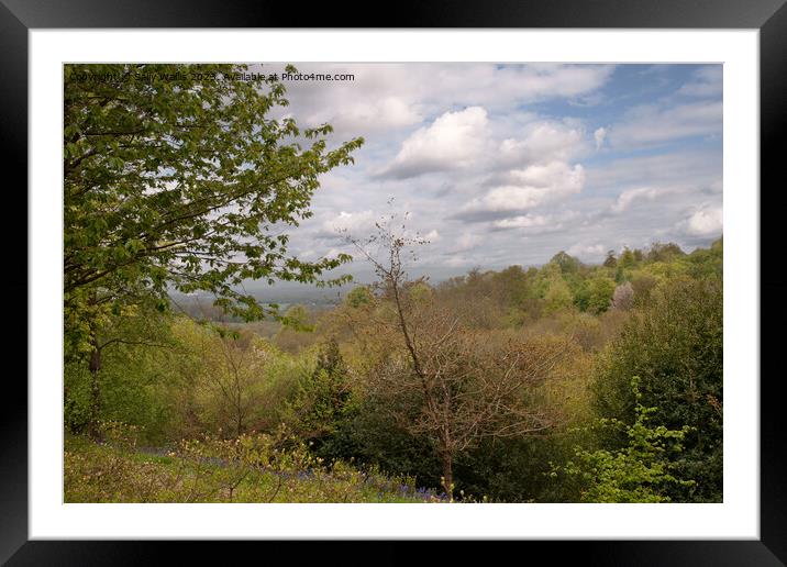 Spring on the North Downs Framed Mounted Print by Sally Wallis