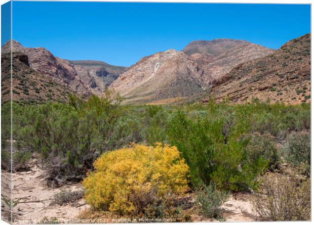 Valley below the Swartberg Mountains near the Prince Albert valley Canvas Print by Adrian Turnbull-Kemp