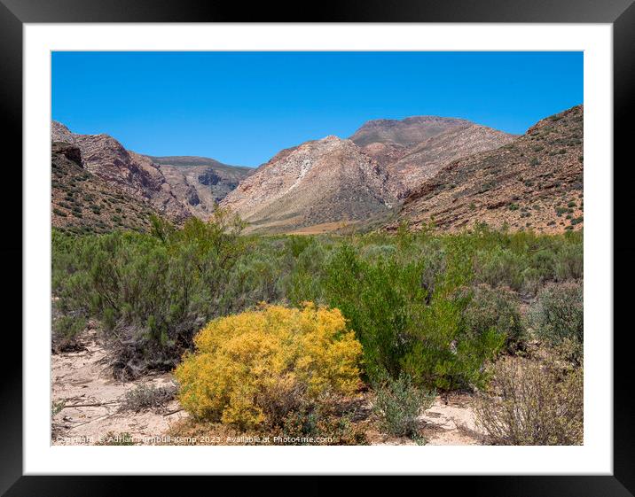 Valley below the Swartberg Mountains near the Prince Albert valley Framed Mounted Print by Adrian Turnbull-Kemp