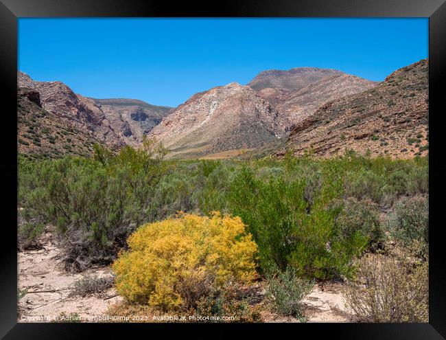 Valley below the Swartberg Mountains near the Prince Albert valley Framed Print by Adrian Turnbull-Kemp