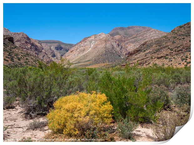 Valley below the Swartberg Mountains near the Prince Albert valley Print by Adrian Turnbull-Kemp