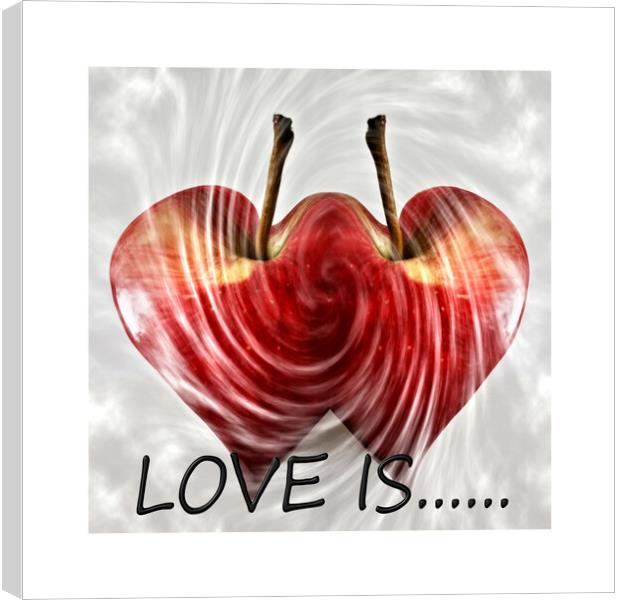 LOVE IS...... Canvas Print by JC studios LRPS ARPS