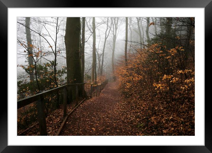 A forest path through Fforest Fawr Framed Mounted Print by Leighton Collins