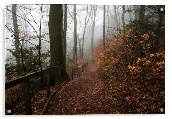 A forest path through Fforest Fawr Acrylic by Leighton Collins
