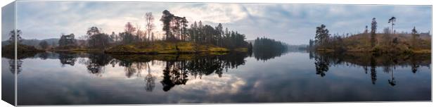 Tarn Hows Lake District Canvas Print by Tim Hill