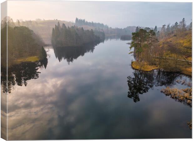Tarn Hows Reflections Canvas Print by Tim Hill