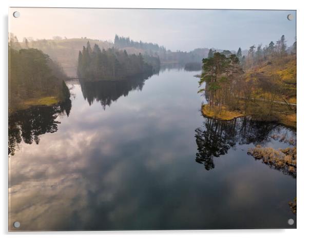 Tarn Hows Reflections Acrylic by Tim Hill