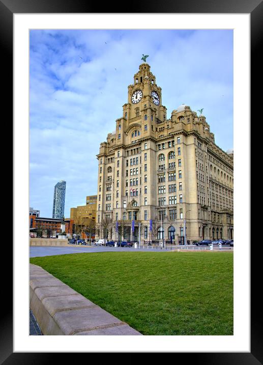 Liver Building Liverpool Framed Mounted Print by Steve Smith