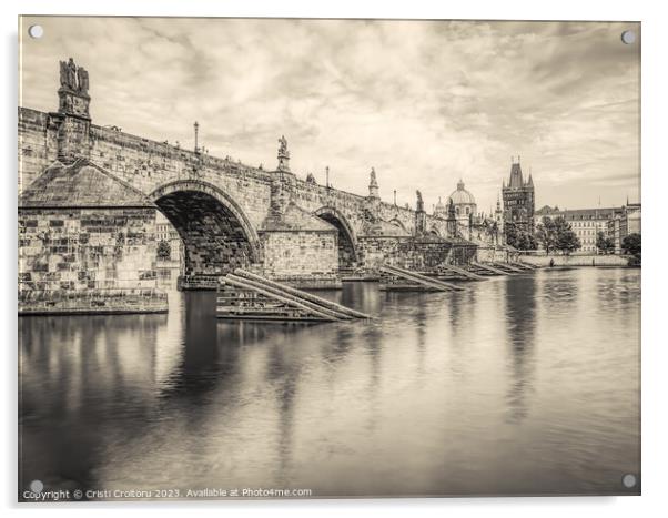 Charles Bridge over Vltava river in Prague. Acrylic by Cristi Croitoru