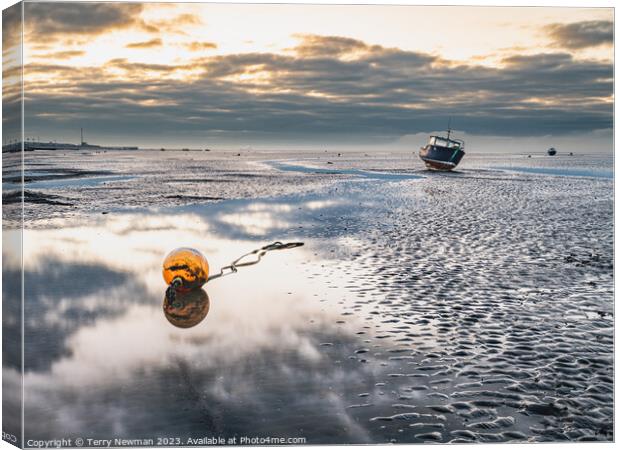 Serenity at Sunrise Canvas Print by Terry Newman