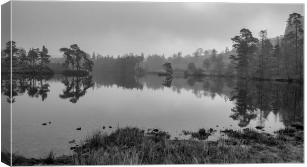 Tarn Hows Monochrome Canvas Print by Tim Hill