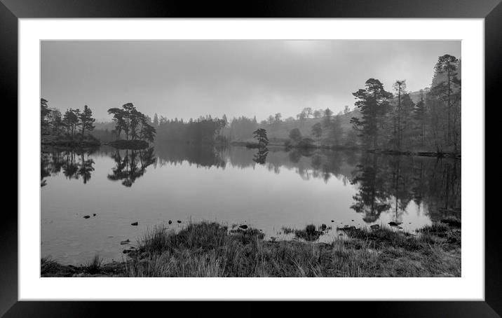 Tarn Hows Monochrome Framed Mounted Print by Tim Hill