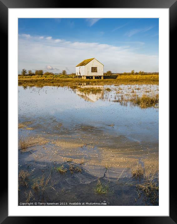 A Wild Abode by the Riverside Framed Mounted Print by Terry Newman