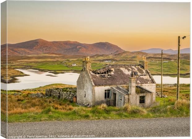 Abandoned Beauty at Hebrides Canvas Print by Terry Newman