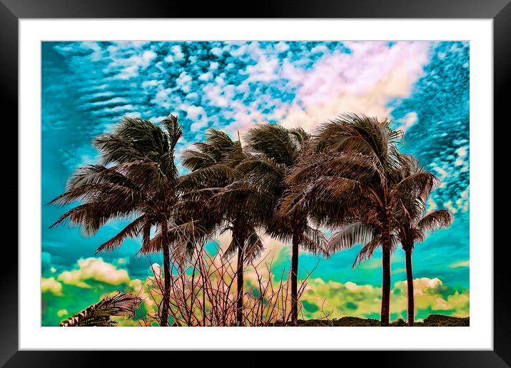Palm Trees Framed Mounted Print by Valerie Paterson