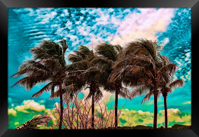 Palm Trees Framed Print by Valerie Paterson