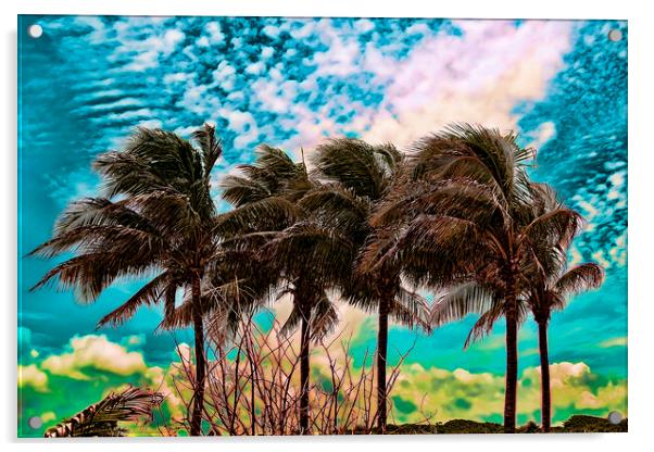 Palm Trees Acrylic by Valerie Paterson