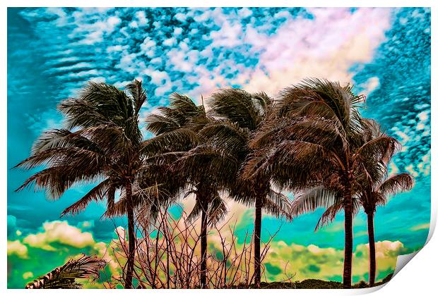 Palm Trees Print by Valerie Paterson