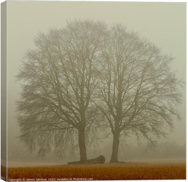 Misty trees Canvas Print by Simon Johnson