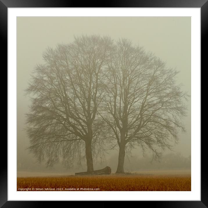 Misty trees Framed Mounted Print by Simon Johnson