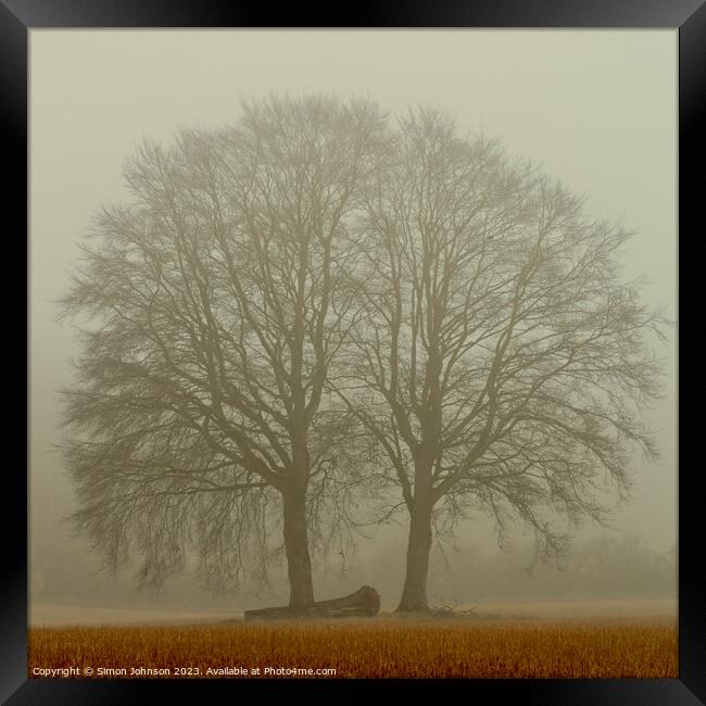 Misty trees Framed Print by Simon Johnson
