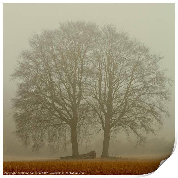 Misty trees Print by Simon Johnson