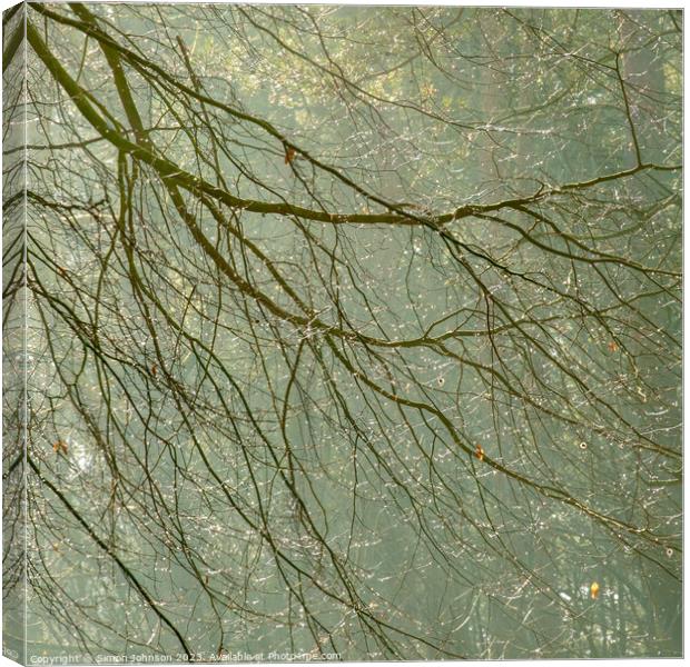 morning dew Canvas Print by Simon Johnson