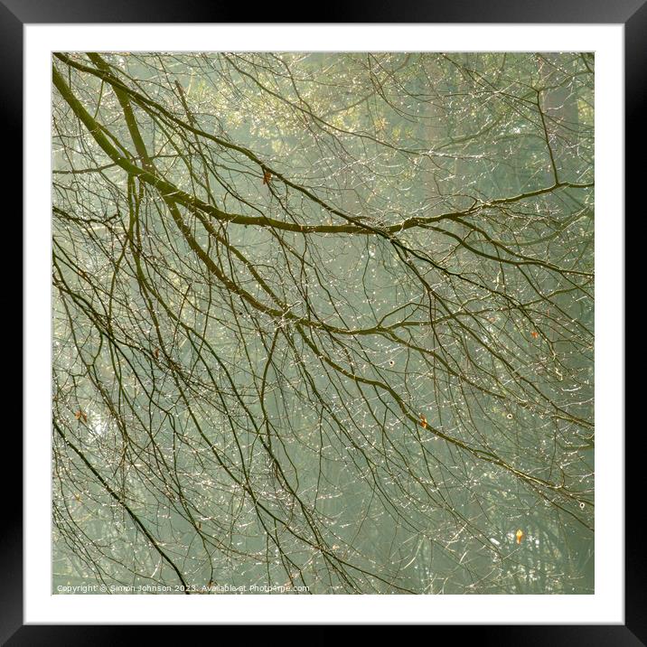 morning dew Framed Mounted Print by Simon Johnson
