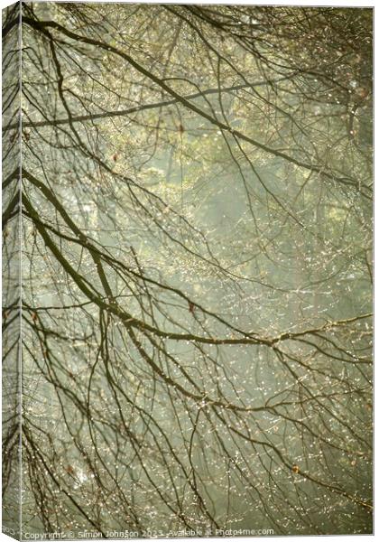 woodland dew drops Canvas Print by Simon Johnson