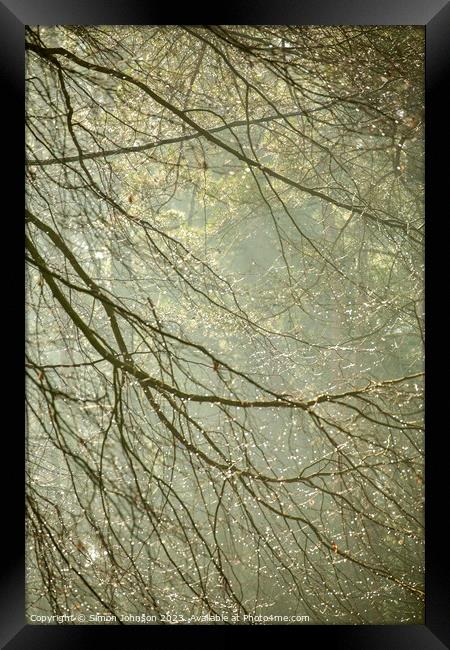 woodland dew drops Framed Print by Simon Johnson