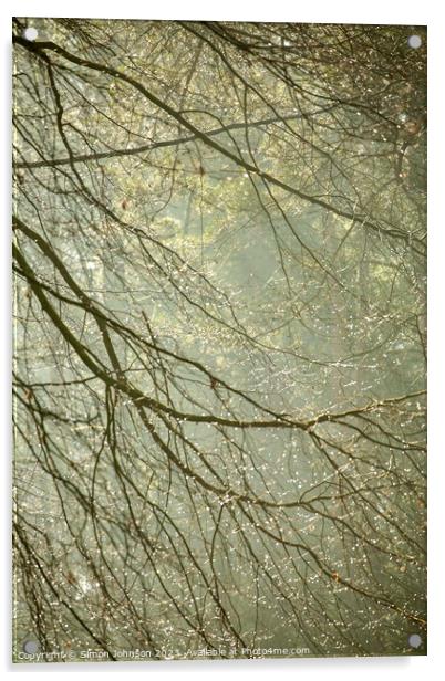 woodland dew drops Acrylic by Simon Johnson