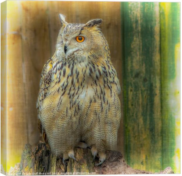 Eagle Owl Canvas Print by Tylie Duff Photo Art