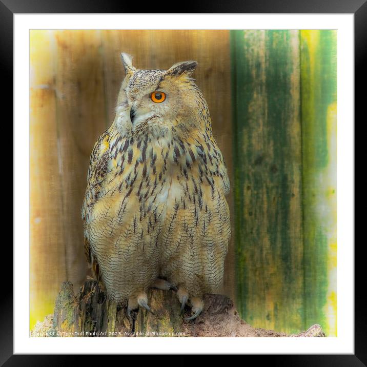 Eagle Owl Framed Mounted Print by Tylie Duff Photo Art
