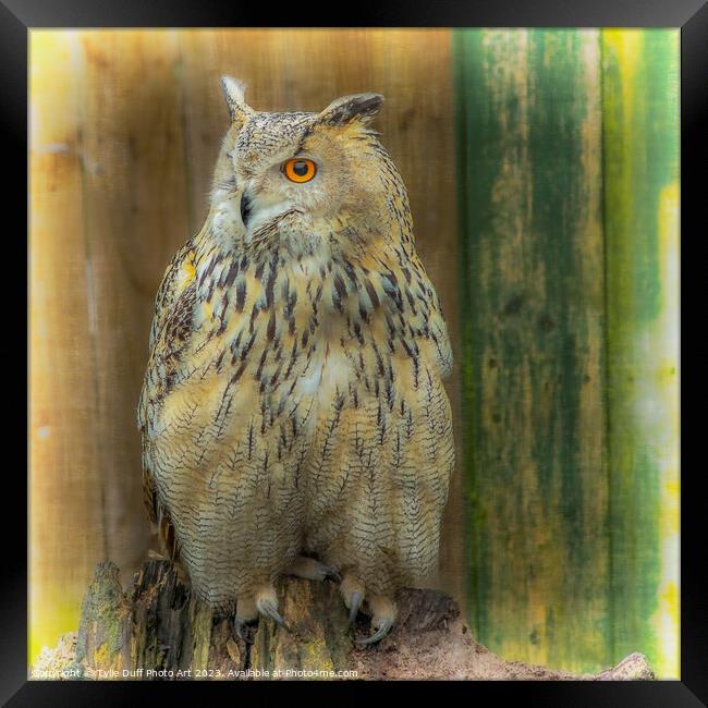Eagle Owl Framed Print by Tylie Duff Photo Art