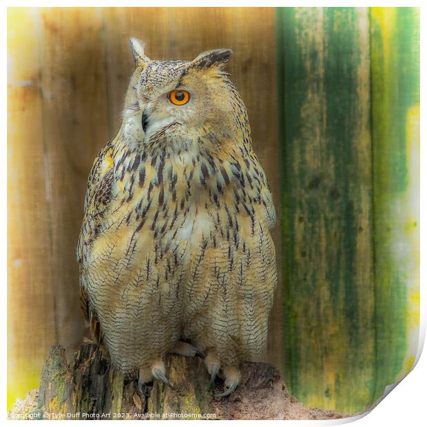 Eagle Owl Print by Tylie Duff Photo Art