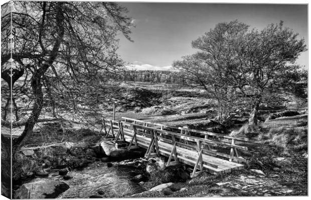 Burbage Brook Footbridge Crossing        Canvas Print by Darren Galpin