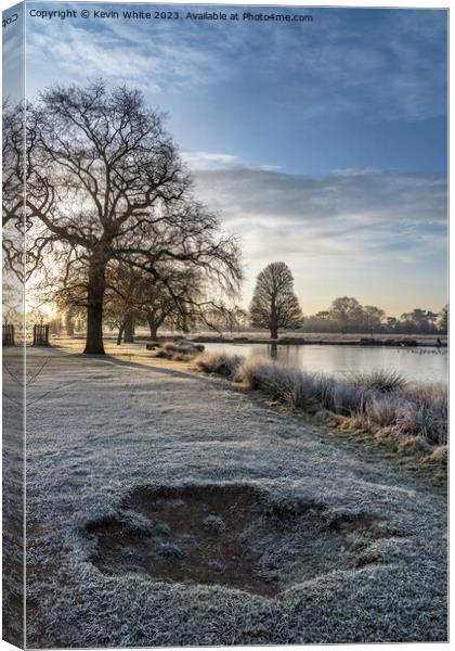 The beauty of frost in the  morning sun Canvas Print by Kevin White